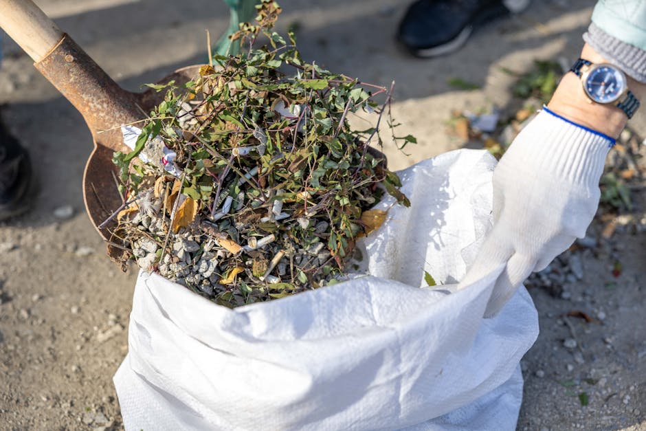 https://wasteremovalhighbury.co.uk/blog/highbury-waste-removal-costs-what-to-expect-in-2026/
